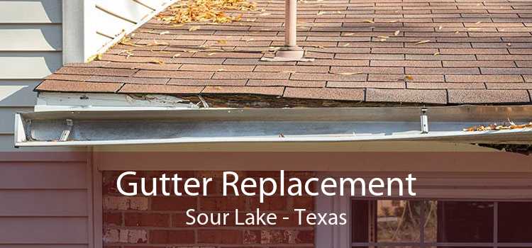 Gutter Replacement Sour Lake - Texas