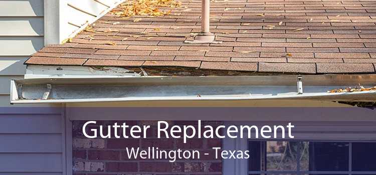 Gutter Replacement Wellington - Texas