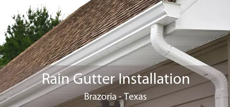 Rain Gutter Installation Brazoria - Texas