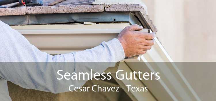 Seamless Gutters Cesar Chavez - Texas