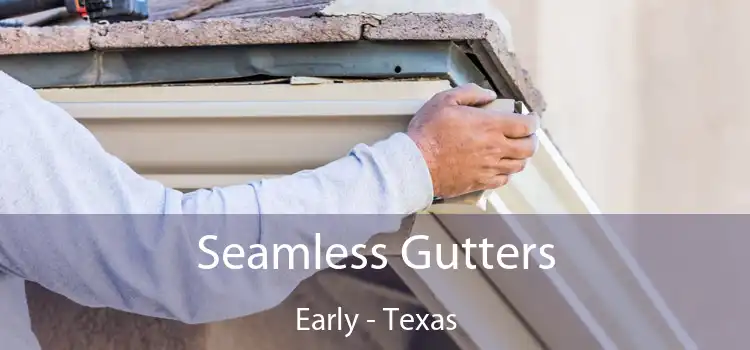 Seamless Gutters Early - Texas