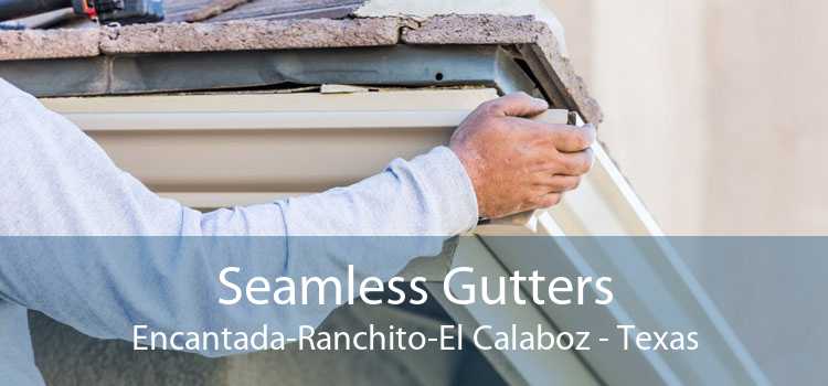 Seamless Gutters Encantada-Ranchito-El Calaboz - Texas