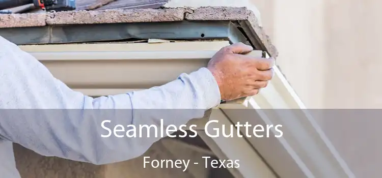 Seamless Gutters Forney - Texas