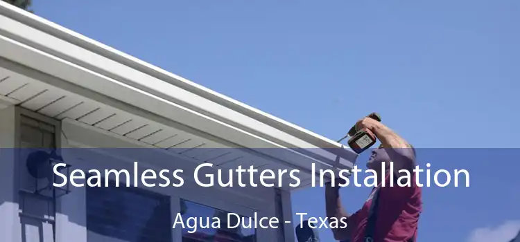 Seamless Gutters Installation Agua Dulce - Texas