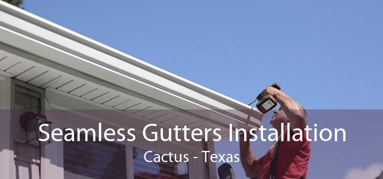Seamless Gutters Installation Cactus - Texas