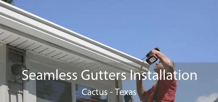 Seamless Gutters Installation Cactus - Texas