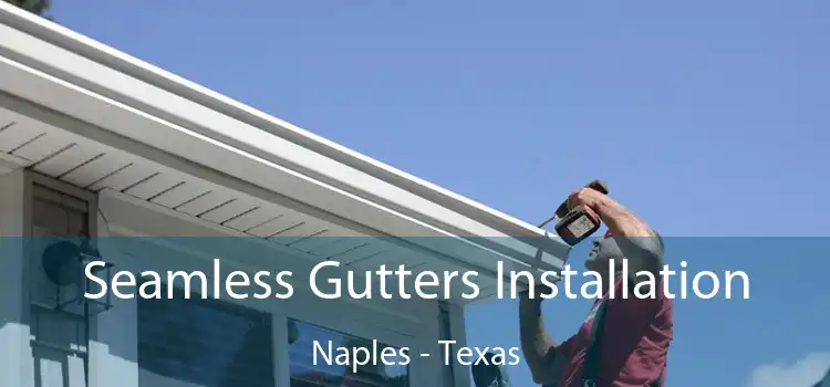 Seamless Gutters Installation Naples - Texas