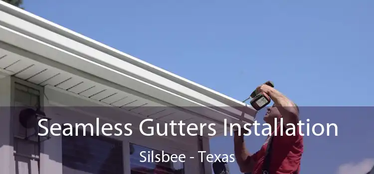 Seamless Gutters Installation Silsbee - Texas