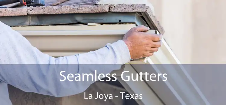 Seamless Gutters La Joya - Texas