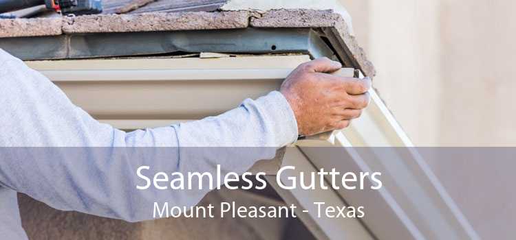 Seamless Gutters Mount Pleasant - Texas