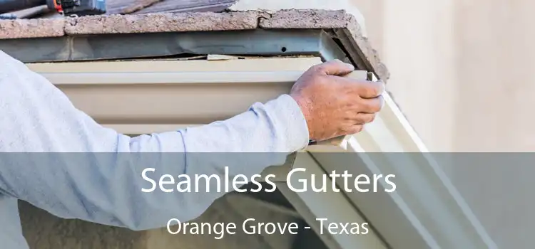 Seamless Gutters Orange Grove - Texas