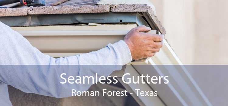 Seamless Gutters Roman Forest - Texas