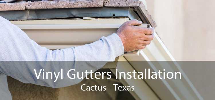 Vinyl Gutters Installation Cactus - Texas